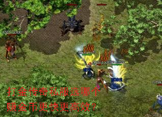 �����˽��ѡ�ĸ�׬��Ҹ������Ч��