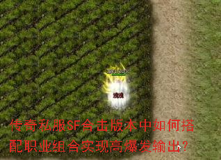 ����˽��SF�ϻ��汾����δ���ְҵ���ʵ�ָ߱��������