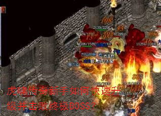 ��Х����������ο��������������ռ�BOSS��