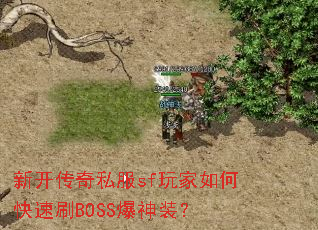 �¿�����˽��sf�����ο���ˢBOSS����װ��