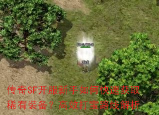 ����SF����������ο��ٻ�ȡϡ��װ������Ч��·�߽���