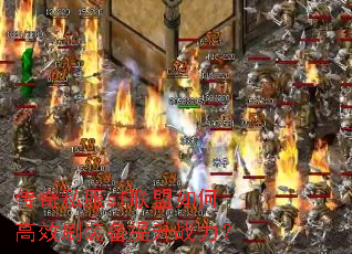 ����˽��sf������θ�Чˢװ������ս����