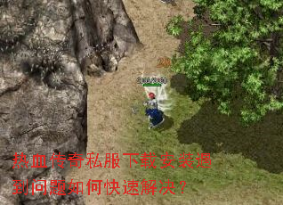 ��Ѫ����˽�����ذ�װ����������ο��ٽ����