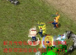 �¿�����˽�����������ο��ٻ�ȡ����װ��������ս����