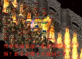 ����˽������һ��������ȫ�⣿���ֱؿ�ʮ�����ʻ���