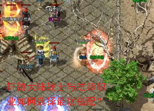 ��ԯ��½սʿ�뷨ʦְҵ���ѡ�����Ŵ��䣿