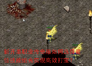 �¿���ְҵ��������ѡ����Ѽ������ʵ�ָ�Ч�򱦣�