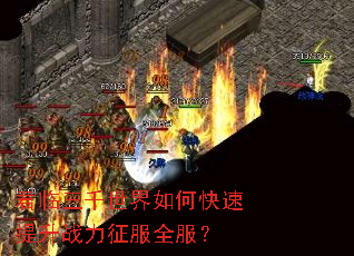 ������ǧ������ο�������ս������ȫ����