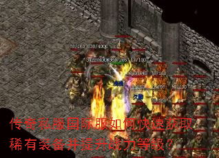 ����˽�����ʷ���ο��ٻ�ȡϡ��װ��������ս���ȼ���