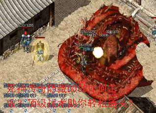 ����������BOSS��λ��ܣ�����ս����������ͨ�أ�