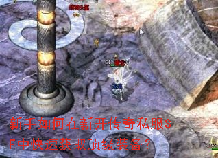 ����������¿�����˽��SF�п��ٻ�ȡ����װ����