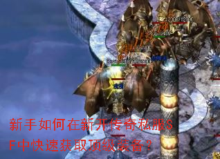 ����������¿�����˽��SF�п��ٻ�ȡ����װ����