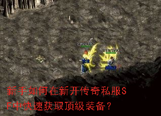 ����������¿�����˽��SF�п��ٻ�ȡ����װ����