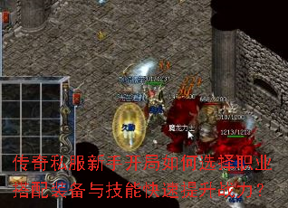 ����˽�����ֿ������ѡ��ְҵ����װ���뼼�ܿ�������ս����