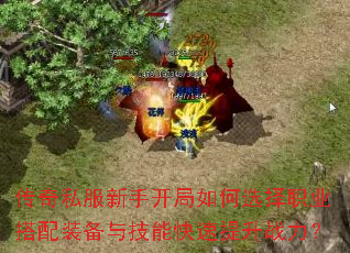 ����˽�����ֿ������ѡ��ְҵ����װ���뼼�ܿ�������ս����