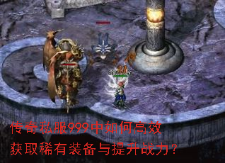 ����˽��999����θ�Ч��ȡϡ��װ��������ս����