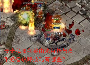 ����˽������������������ֱر����Լ�������Щ��