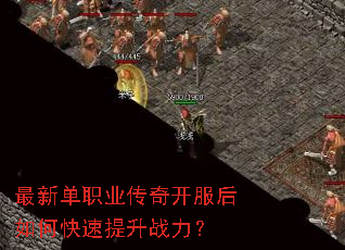 ���µ�ְҵ���濪������ο�������ս����