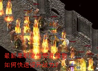 ���µ�ְҵ���濪������ο�������ս����