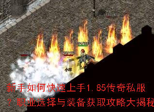 ������ο�������1.85����˽����ְҵѡ����װ����ȡ���Դ����