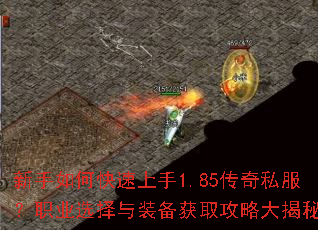 ������ο�������1.85����˽����ְҵѡ����װ����ȡ���Դ����