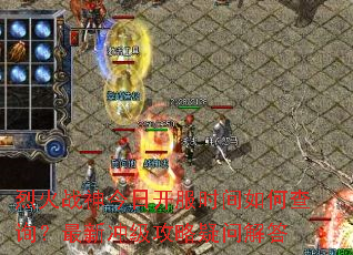 �һ�ս����տ���ʱ����β�ѯ�����³弶�������ʽ��