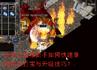 ���湫���������ο������ո�Ч�����������ɣ�