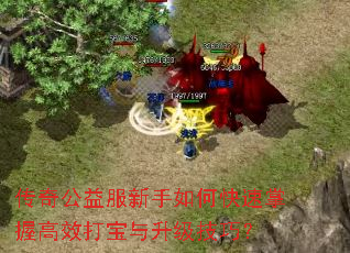 ���湫���������ο������ո�Ч�����������ɣ�