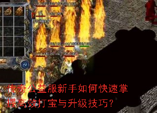 ���湫���������ο������ո�Ч�����������ɣ�