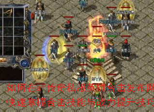 �����sf����˽��Ӣ�ۺϻ��������������պϻ�������ս���������ɣ�