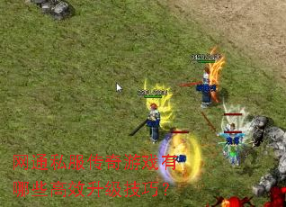 ��ͨ˽��������Ϸ����Щ��Ч�������ɣ�