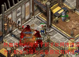 ��Ѫ����˽������������ο�������ս����ְҵѡ����װ����ȡ�кμ��ɣ�