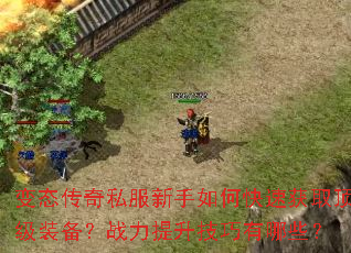 ��̬����˽��������ο��ٻ�ȡ����װ����ս��������������Щ��