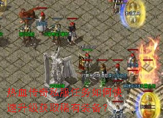 ��Ѫ����˽��������ο���������ȡϡ��װ����