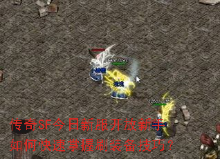 ����SF�����·�����������ο�������ˢװ�����ɣ�