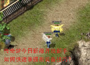 ����SF�����·�����������ο�������ˢװ�����ɣ�