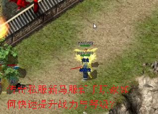 ����˽�����������������ο�������ս����ȼ���