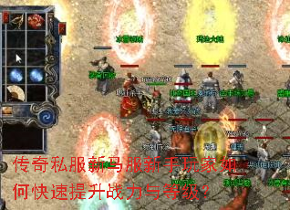 ����˽�����������������ο�������ս����ȼ���