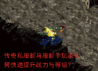 ����˽�����������������ο�������ս����ȼ���