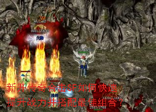 �¿�����ϻ�SF��ο�������ս�������������ϣ�