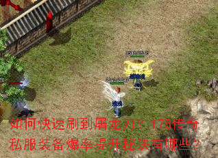 ��ο���ˢ����������178����˽��װ�����������ؾ�����Щ��