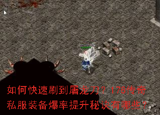 ��ο���ˢ����������178����˽��װ�����������ؾ�����Щ��