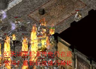 �������ְҵ����������Ӫ�������淨���ɽ���