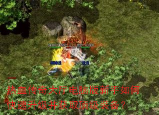 ��Ѫ����������԰�������ο�����������ȡ����װ����