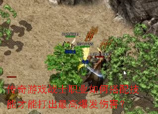 ������Ϸսʿְҵ��δ��似�ܲ��ܴ����߱����˺���