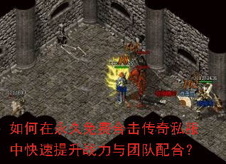 �����������Ѻϻ�����˽���п�������ս�����Ŷ���ϣ�