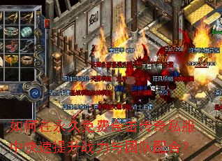 �����������Ѻϻ�����˽���п�������ս�����Ŷ���ϣ�