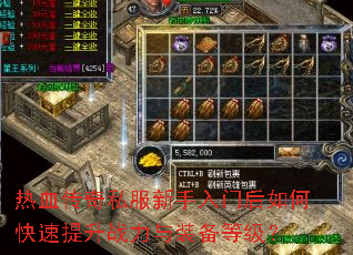 ��Ѫ����˽���������ź���ο�������ս����װ���ȼ���