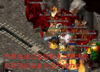 ����˽�������������ο��ٻ�ȡ����װ��������ս����