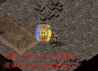 ��Ѫ����Online����ο�������ս�������ռ�BOSS��